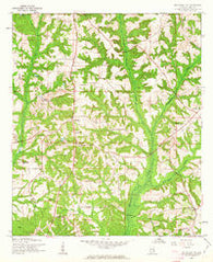 Brundidge NW Alabama Historical topographic map, 1:24000 scale, 7.5 X 7.5 Minute, Year 1960