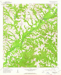 Brundidge SE Alabama Historical topographic map, 1:24000 scale, 7.5 X 7.5 Minute, Year 1960
