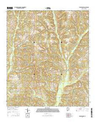 Brundidge NW Alabama Current topographic map, 1:24000 scale, 7.5 X 7.5 Minute, Year 2014