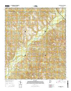 Brundidge SE Alabama Current topographic map, 1:24000 scale, 7.5 X 7.5 Minute, Year 2014