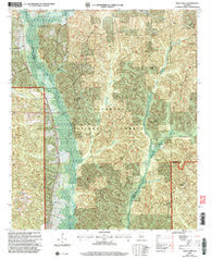 Buck Creek Alabama Historical topographic map, 1:24000 scale, 7.5 X 7.5 Minute, Year 2002