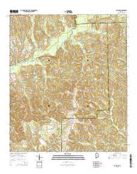 Bullock Alabama Current topographic map, 1:24000 scale, 7.5 X 7.5 Minute, Year 2014