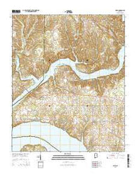 Cairo Alabama Current topographic map, 1:24000 scale, 7.5 X 7.5 Minute, Year 2014