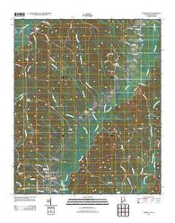 Carrollton Alabama Historical topographic map, 1:24000 scale, 7.5 X 7.5 Minute, Year 2011
