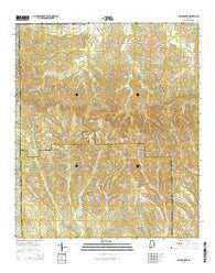 China Grove Alabama Current topographic map, 1:24000 scale, 7.5 X 7.5 Minute, Year 2014