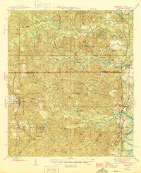 Citronelle Alabama Historical topographic map, 1:62500 scale, 15 X 15 Minute, Year 1946