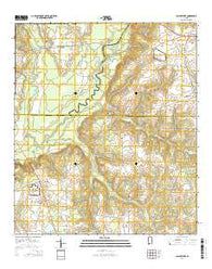 Clayhatchee Alabama Current topographic map, 1:24000 scale, 7.5 X 7.5 Minute, Year 2014