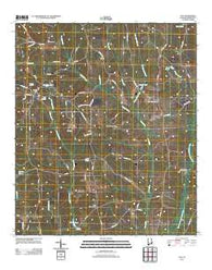 Clio Alabama Historical topographic map, 1:24000 scale, 7.5 X 7.5 Minute, Year 2011