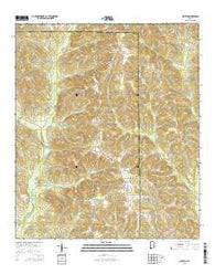 Clopton Alabama Current topographic map, 1:24000 scale, 7.5 X 7.5 Minute, Year 2014