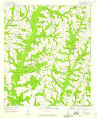 Coffee Springs Alabama Historical topographic map, 1:24000 scale, 7.5 X 7.5 Minute, Year 1957