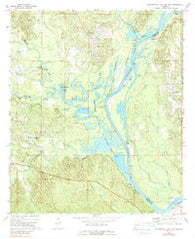 Coffeeville Lock And Dam Alabama Historical topographic map, 1:24000 scale, 7.5 X 7.5 Minute, Year 1971