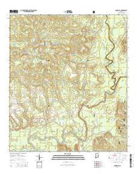 Damascus Alabama Current topographic map, 1:24000 scale, 7.5 X 7.5 Minute, Year 2014