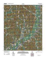 Detroit Alabama Historical topographic map, 1:24000 scale, 7.5 X 7.5 Minute, Year 2011