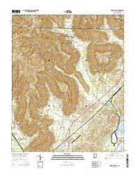Doran Cove Alabama Current topographic map, 1:24000 scale, 7.5 X 7.5 Minute, Year 2014
