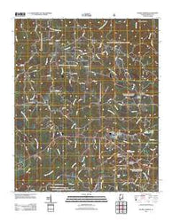 Double Springs Alabama Historical topographic map, 1:24000 scale, 7.5 X 7.5 Minute, Year 2011