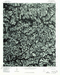 Douglas Alabama Historical topographic map, 1:24000 scale, 7.5 X 7.5 Minute, Year 1975