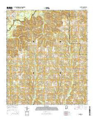 Dozier Alabama Current topographic map, 1:24000 scale, 7.5 X 7.5 Minute, Year 2014