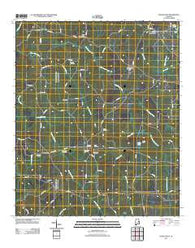 Dudleyville Alabama Historical topographic map, 1:24000 scale, 7.5 X 7.5 Minute, Year 2011