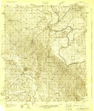 Epes Alabama Historical topographic map, 1:48000 scale, 15 X 15 Minute, Year 1929
