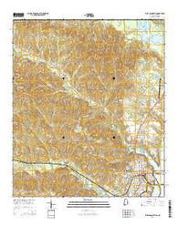 Eufaula North Alabama Current topographic map, 1:24000 scale, 7.5 X 7.5 Minute, Year 2014