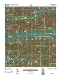 Fernbank Alabama Historical topographic map, 1:24000 scale, 7.5 X 7.5 Minute, Year 2011