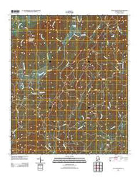 Flag Mountain Alabama Historical topographic map, 1:24000 scale, 7.5 X 7.5 Minute, Year 2011