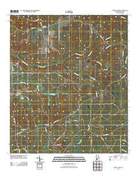 Forest Home Alabama Historical topographic map, 1:24000 scale, 7.5 X 7.5 Minute, Year 2011