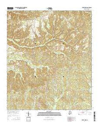 Forest Home Alabama Current topographic map, 1:24000 scale, 7.5 X 7.5 Minute, Year 2014