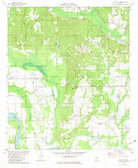 Forester Alabama Historical topographic map, 1:24000 scale, 7.5 X 7.5 Minute, Year 1981