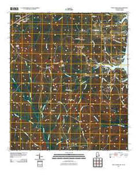 Fort Gaines NW Alabama Historical topographic map, 1:24000 scale, 7.5 X 7.5 Minute, Year 2011