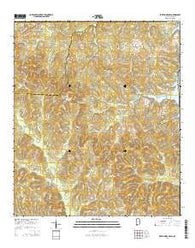 Fort Gaines NW Alabama Current topographic map, 1:24000 scale, 7.5 X 7.5 Minute, Year 2014