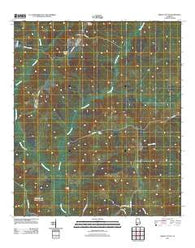 Frisco City SE Alabama Historical topographic map, 1:24000 scale, 7.5 X 7.5 Minute, Year 2011