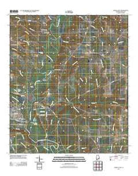 Geneva East Alabama Historical topographic map, 1:24000 scale, 7.5 X 7.5 Minute, Year 2011