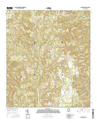 Georgetown Alabama Current topographic map, 1:24000 scale, 7.5 X 7.5 Minute, Year 2014