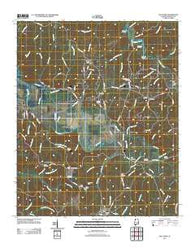 Halltown Alabama Historical topographic map, 1:24000 scale, 7.5 X 7.5 Minute, Year 2011