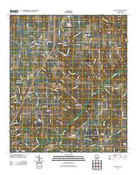 Headland Alabama Historical topographic map, 1:24000 scale, 7.5 X 7.5 Minute, Year 2011