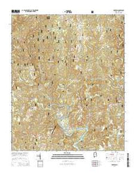 Houston Alabama Current topographic map, 1:24000 scale, 7.5 X 7.5 Minute, Year 2014