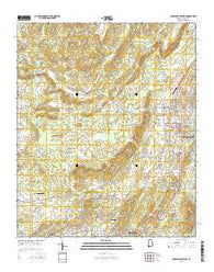 Jacksonville West Alabama Current topographic map, 1:24000 scale, 7.5 X 7.5 Minute, Year 2014