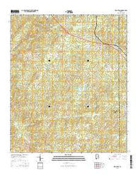Kellyton Alabama Current topographic map, 1:24000 scale, 7.5 X 7.5 Minute, Year 2014