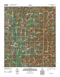Lawrenceville Alabama Historical topographic map, 1:24000 scale, 7.5 X 7.5 Minute, Year 2011