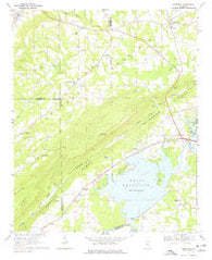Leesburg Alabama Historical topographic map, 1:24000 scale, 7.5 X 7.5 Minute, Year 1967