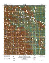 Lower Peach Tree Alabama Historical topographic map, 1:24000 scale, 7.5 X 7.5 Minute, Year 2011