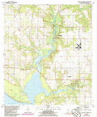 Magnolia Springs Alabama Historical topographic map, 1:24000 scale, 7.5 X 7.5 Minute, Year 1980