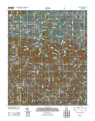 Massey Alabama Historical topographic map, 1:24000 scale, 7.5 X 7.5 Minute, Year 2011