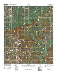 McKenzie Alabama Historical topographic map, 1:24000 scale, 7.5 X 7.5 Minute, Year 2011