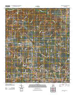 Midland City Alabama Historical topographic map, 1:24000 scale, 7.5 X 7.5 Minute, Year 2011