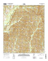 Mount Andrew Alabama Current topographic map, 1:24000 scale, 7.5 X 7.5 Minute, Year 2014