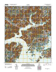 Mount Carmel Alabama Historical topographic map, 1:24000 scale, 7.5 X 7.5 Minute, Year 2011