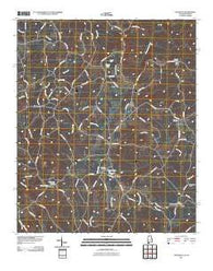 Napoleon Alabama Historical topographic map, 1:24000 scale, 7.5 X 7.5 Minute, Year 2011