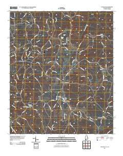 Napoleon Alabama Historical topographic map, 1:24000 scale, 7.5 X 7.5 Minute, Year 2011